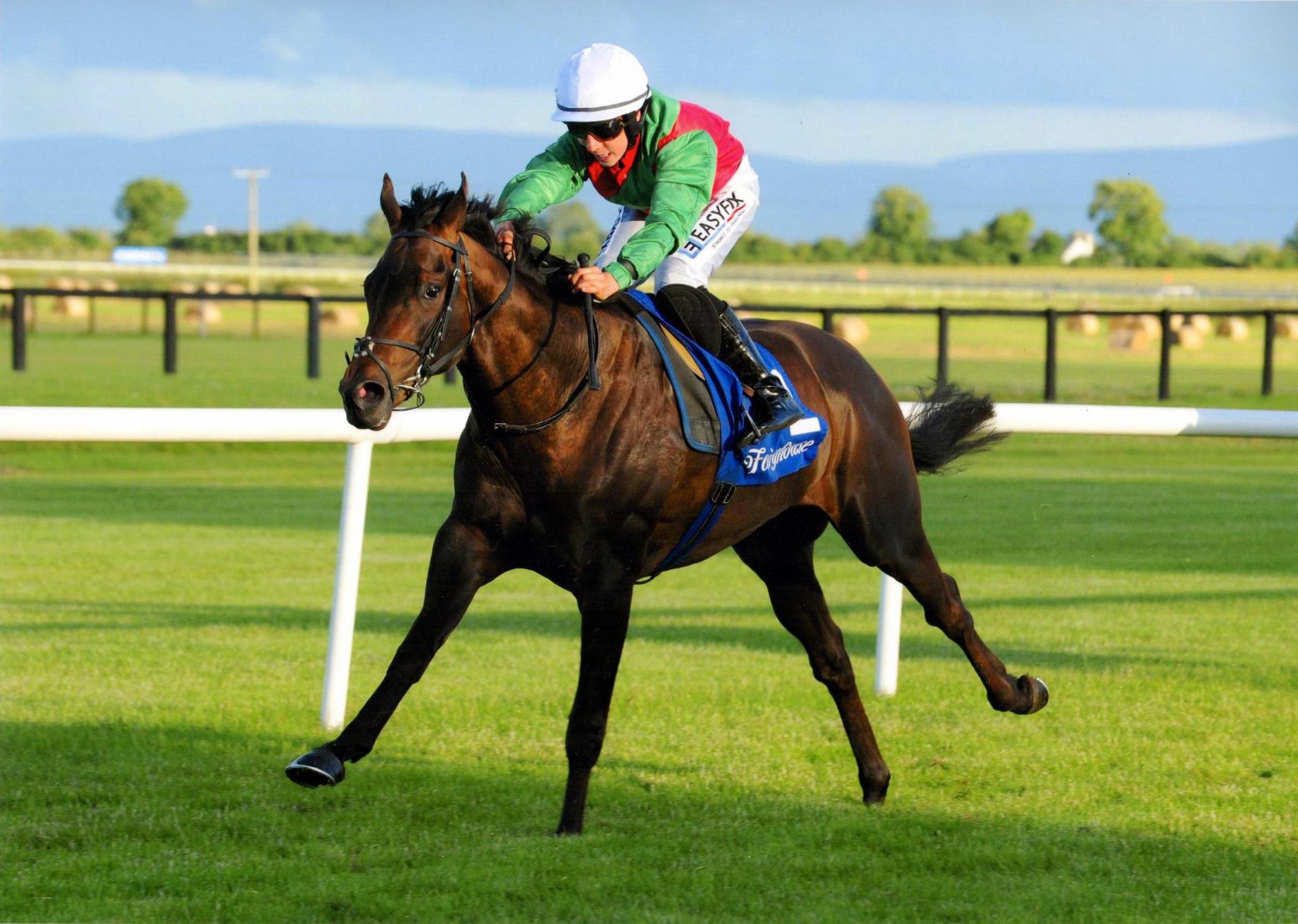 ROIBEARD provides Evan Daly with his first racecourse success at Fairyhouse 29th June 2016